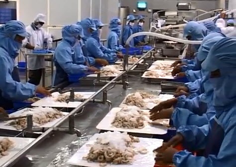 Seafood exports contribute to national economic growth - ảnh 1